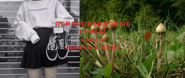 2c-b Майский