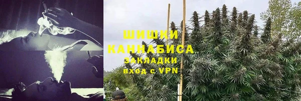 амф Магас