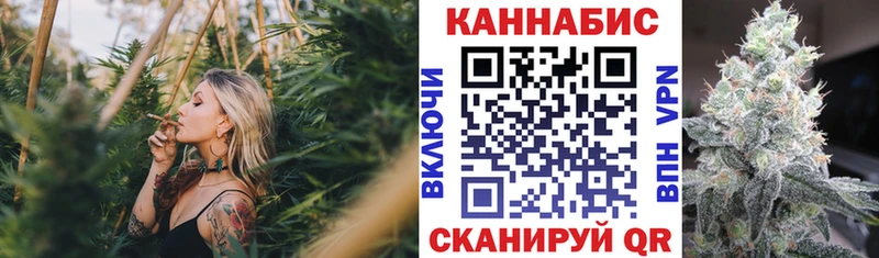 Купить где  Сольцы  МАРИХУАНА Amnesia 